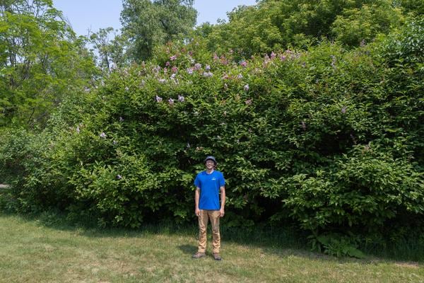 Ben by the lilacs